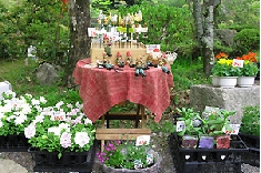 花結び号