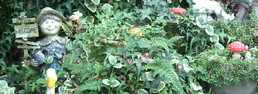 花結び・ウエルカム