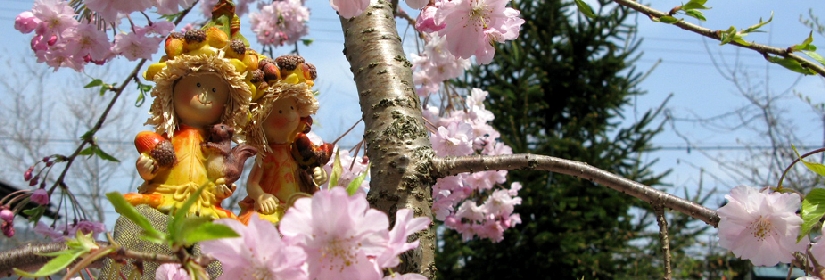花結び「さくら・妖精」